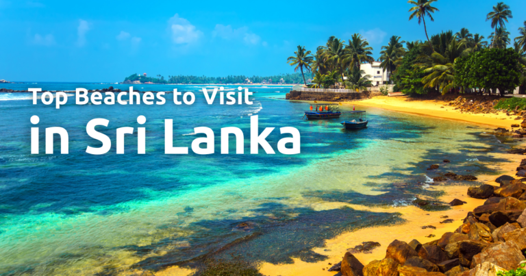 A Guide to the Top Beaches to Visit in Sri Lanka